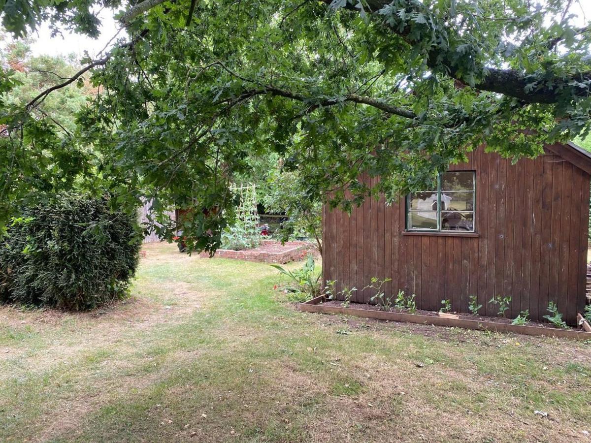 Ross-on-Wye Orchard Cabin Herefordshire Wye Valley מראה חיצוני תמונה